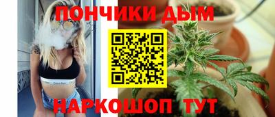крисы Севастополь
