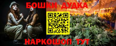 крисы Севастополь