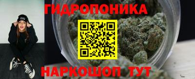 крисы Севастополь