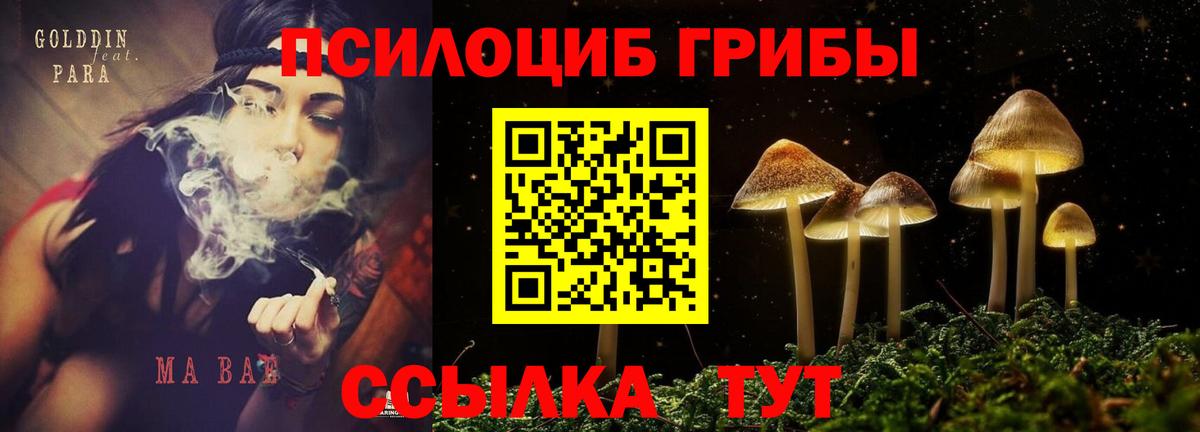Алексин  Галлюциногенные грибы прущие грибы  Вход с VPN 